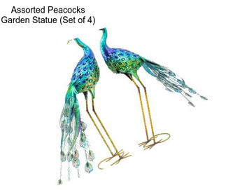 Assorted Peacocks Garden Statue (Set of 4)