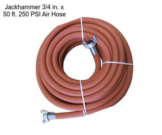 Jackhammer 3/4 in. x 50 ft. 250 PSI Air Hose