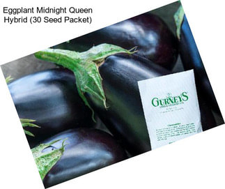 Eggplant Midnight Queen Hybrid (30 Seed Packet)