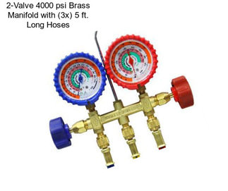 2-Valve 4000 psi Brass Manifold with (3x) 5 ft. Long Hoses
