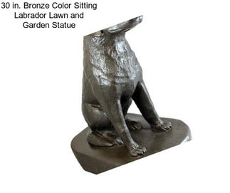 30 in. Bronze Color Sitting Labrador Lawn and Garden Statue