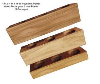 4 in. x 4 in. x 16 in. Succulent Planter Wood Rectangular 3 Hole Planter (3-Package)