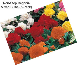 Non-Stop Begonia Mixed Bulbs (5-Pack)