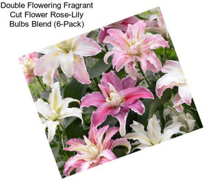 Double Flowering Fragrant Cut Flower Rose-Lily Bulbs Blend (6-Pack)