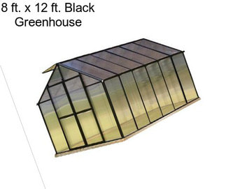 8 ft. x 12 ft. Black Greenhouse