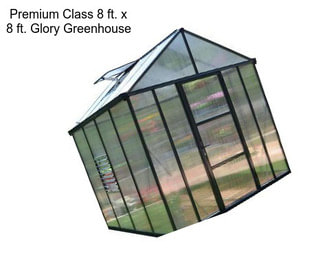 Premium Class 8 ft. x 8 ft. Glory Greenhouse