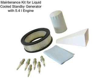 Maintenance Kit for Liquid Cooled Standby Generator with 5.4 l Engine