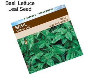 Basil Lettuce Leaf Seed