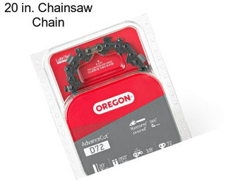 20 in. Chainsaw Chain