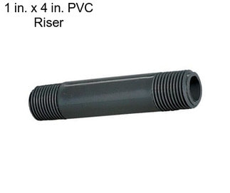 1 in. x 4 in. PVC Riser