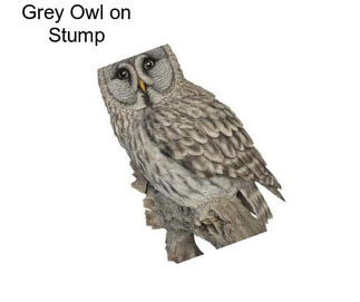 Grey Owl on Stump