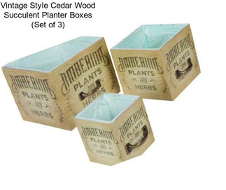 Vintage Style Cedar Wood Succulent Planter Boxes (Set of 3)