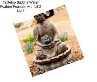 Tabletop Buddha Water Feature Fountain with LED Light