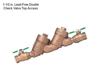 1-1/2 in. Lead-Free Double Check Valve Top Access