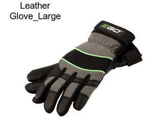 Leather Glove_Large