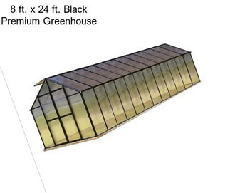 8 ft. x 24 ft. Black Premium Greenhouse