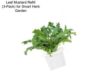 Leaf Mustard Refill (3-Pack) for Smart Herb Garden