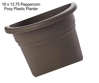 16 x 13.75 Peppercorn Posy Plastic Planter