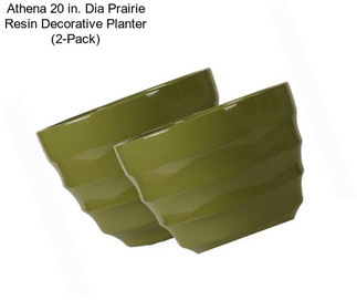 Athena 20 in. Dia Prairie Resin Decorative Planter (2-Pack)