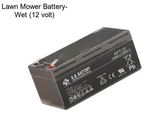 Lawn Mower Battery- Wet (12 volt)