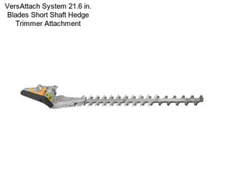 VersAttach System 21.6 in. Blades Short Shaft Hedge Trimmer Attachment