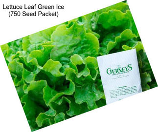 Lettuce Leaf Green Ice (750 Seed Packet)