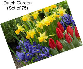 Dutch Garden (Set of 75)