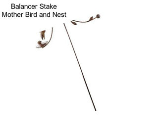 Balancer Stake Mother Bird and Nest