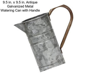 9.5 in. x 9.5 in. Antique Galvanized Metal Watering Can with Handle