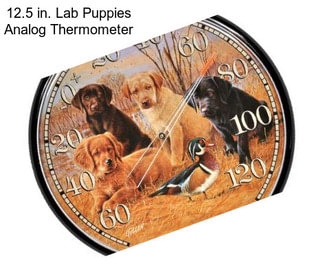 12.5 in. Lab Puppies Analog Thermometer