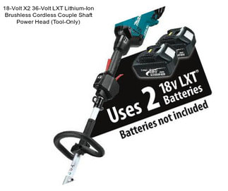 18-Volt X2 36-Volt LXT Lithium-Ion Brushless Cordless Couple Shaft Power Head (Tool-Only)