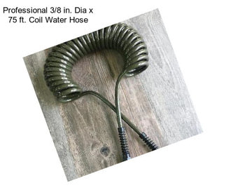 Professional 3/8 in. Dia x 75 ft. Coil Water Hose