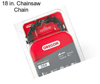 18 in. Chainsaw Chain