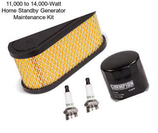 11,000 to 14,000-Watt Home Standby Generator Maintenance Kit