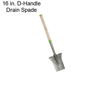 16 in. D-Handle Drain Spade