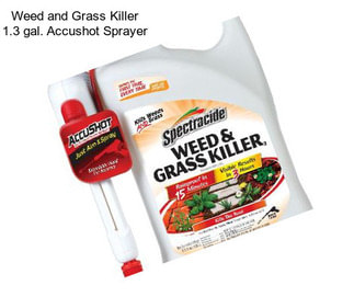 Weed and Grass Killer 1.3 gal. Accushot Sprayer