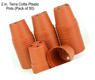 2 in. Terra Cotta Plastic Pots (Pack of 50)