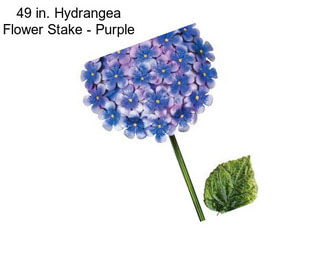 49 in. Hydrangea Flower Stake - Purple
