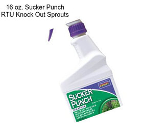 16 oz. Sucker Punch RTU Knock Out Sprouts