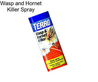 Wasp and Hornet Killer Spray
