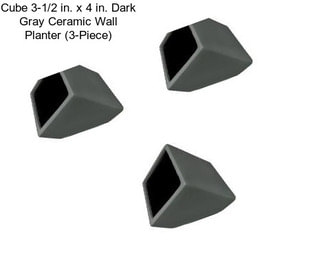 Cube 3-1/2 in. x 4 in. Dark Gray Ceramic Wall Planter (3-Piece)