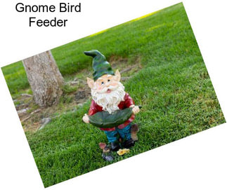 Gnome Bird Feeder