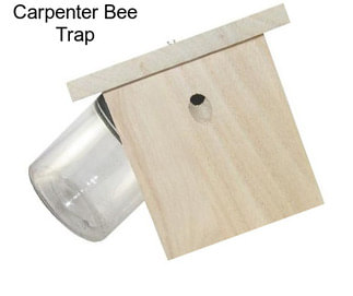 Carpenter Bee Trap