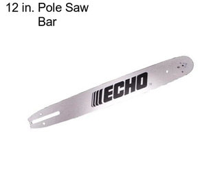 12 in. Pole Saw Bar