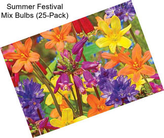 Summer Festival Mix Bulbs (25-Pack)