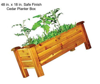 48 in. x 18 in. Safe Finish Cedar Planter Box