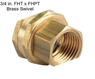 3/4 in. FHT x FHPT Brass Swivel