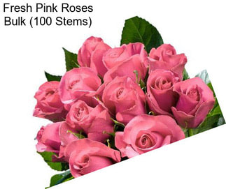 Fresh Pink Roses Bulk (100 Stems)