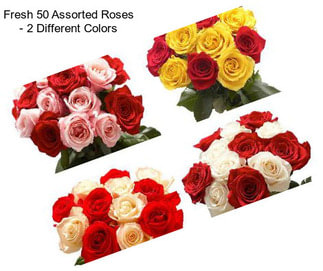 Fresh 50 Assorted Roses - 2 Different Colors