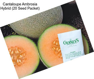Cantaloupe Ambrosia Hybrid (20 Seed Packet)